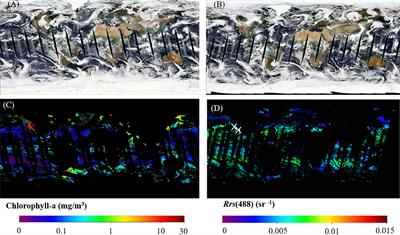 Satellite retrieval of oceanic particulate organic nitrogen concentration